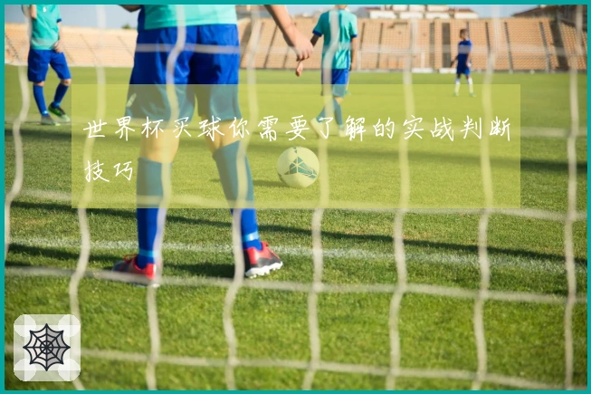 世界杯买球你需要了解的实战判断技巧