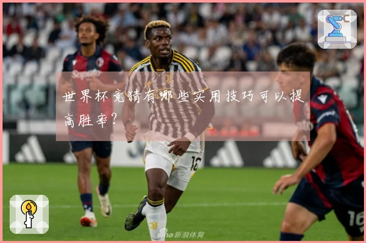 世界杯竞猜有哪些实用技巧可以提高胜率？