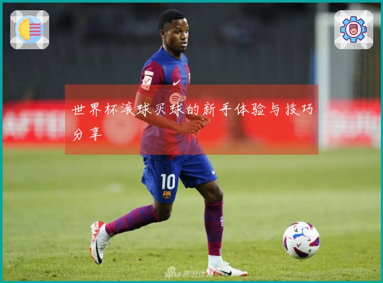 世界杯滚球买球的新手体验与技巧分享