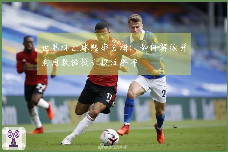 世界杯让球赔率分析：如何解读并利用数据提升投注胜率