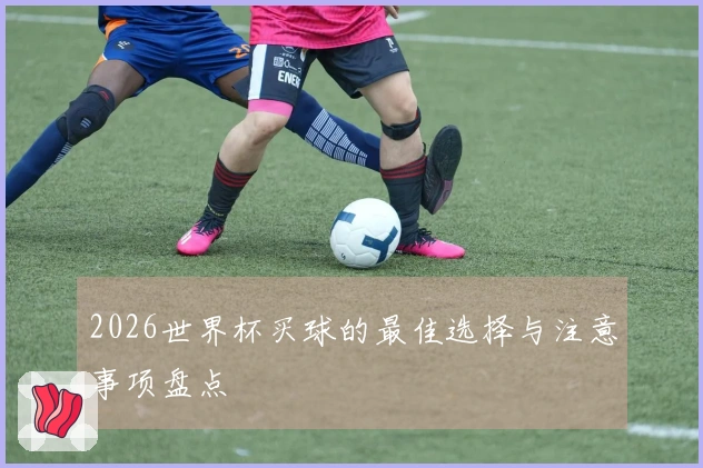 2026世界杯买球的最佳选择与注意事项盘点