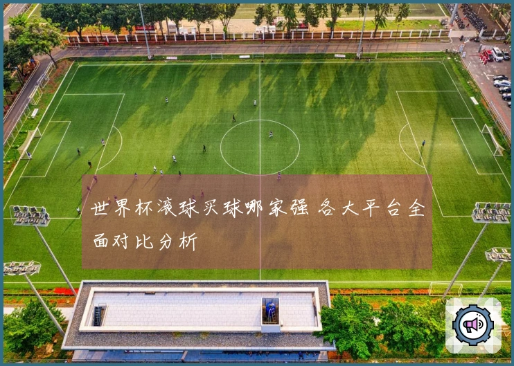 世界杯滚球买球哪家强 各大平台全面对比分析
