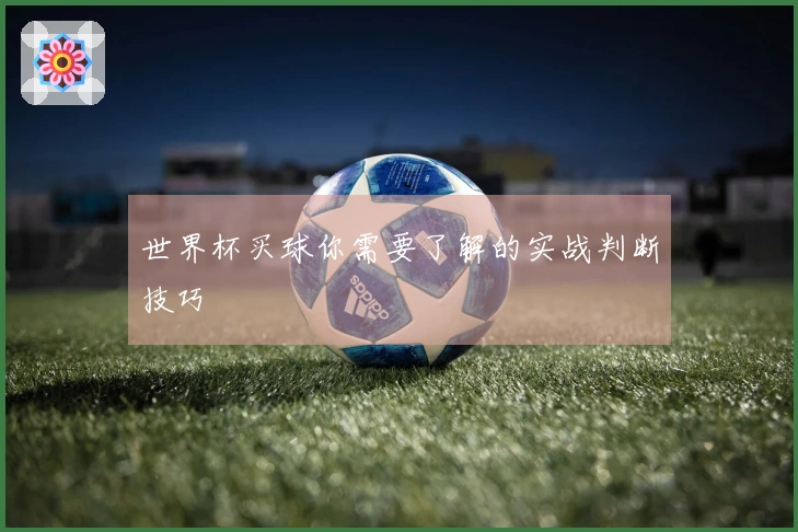 世界杯买球你需要了解的实战判断技巧