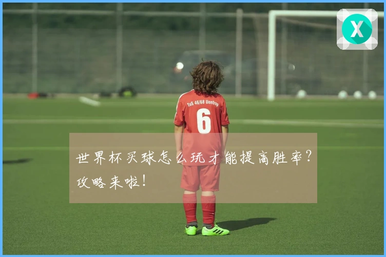 世界杯买球怎么玩才能提高胜率？攻略来啦！