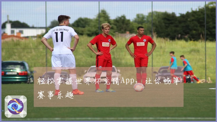 轻松掌握世界杯竞猜App，让你畅享赛事乐趣