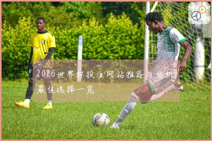 2026世界杯投注网站推荐与分析：最佳选择一览
