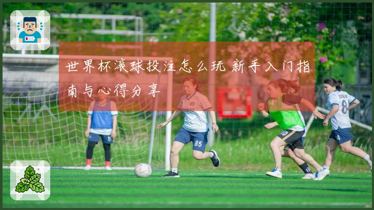 世界杯滚球投注怎么玩 新手入门指南与心得分享